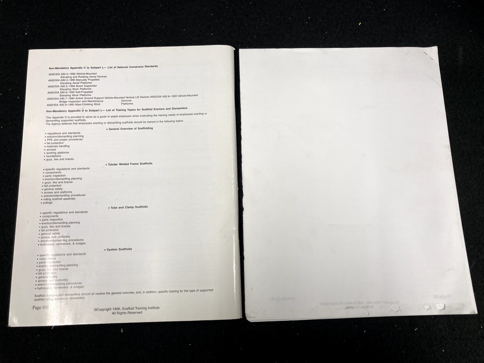 SCAFFOLD TRAINING INSTITUTE SCAFFOLD USER COURSE & INSTRUCTOR GUIDE, 2000