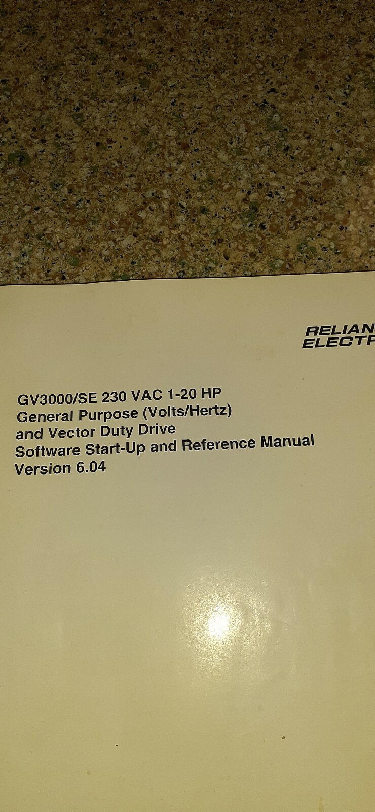 Reliance Electric Instruction Manual D2-3387-4 GV3000/SE